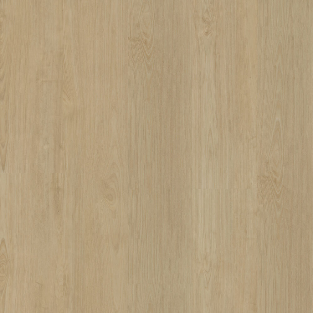 Portico 550 | Rigid Click
