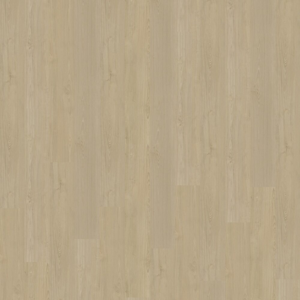 Portico 570 | Rigid Click